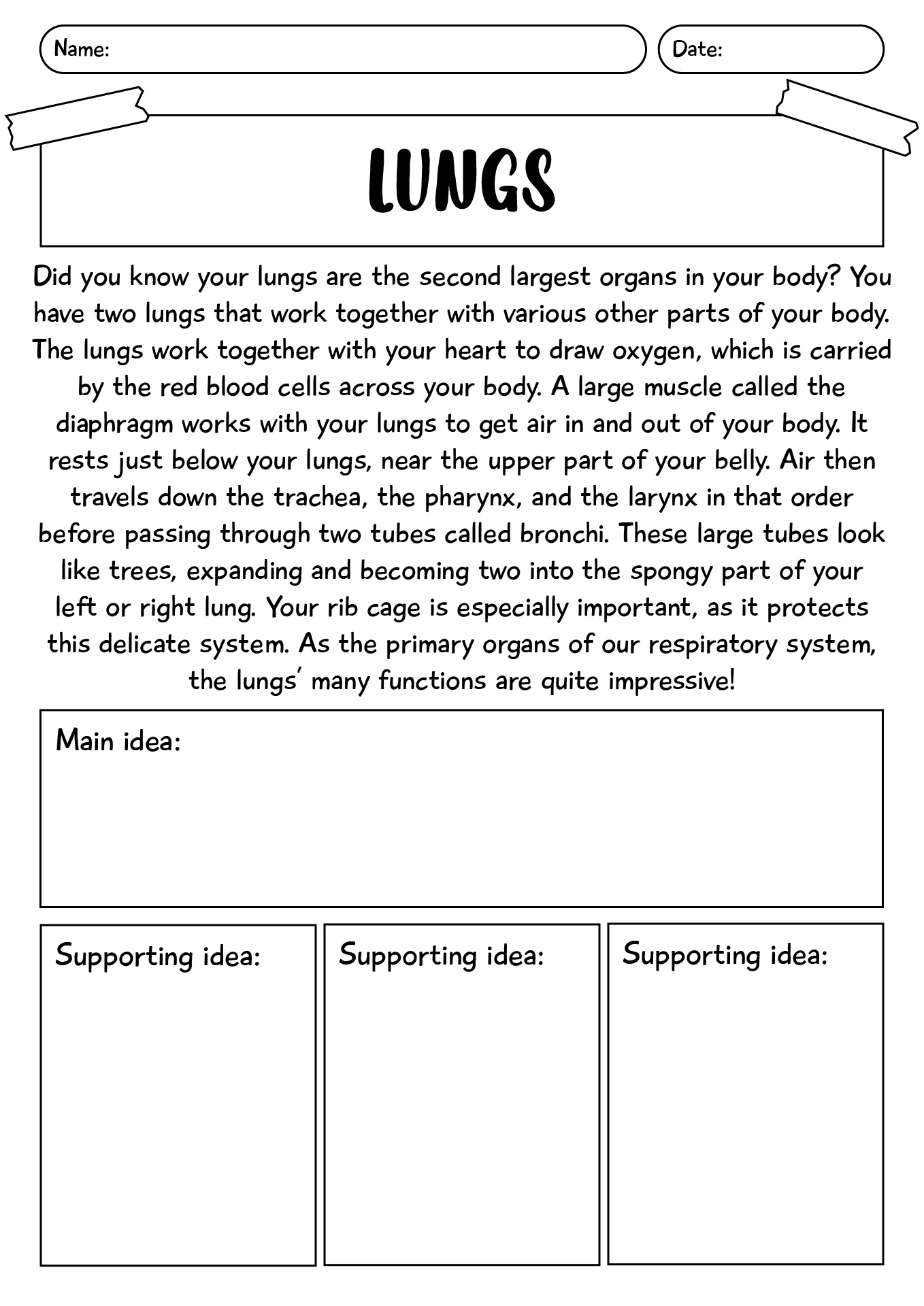 Interactive Main Ideas Worksheets