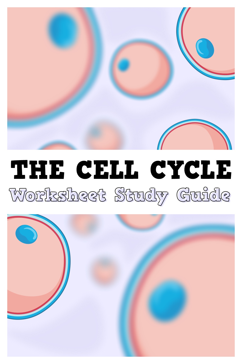 15 Images of The Cell Cycle Worksheet Study Guide