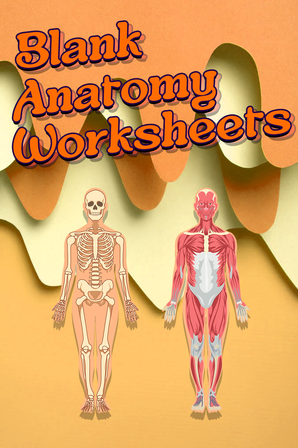 Blank Anatomy Worksheets