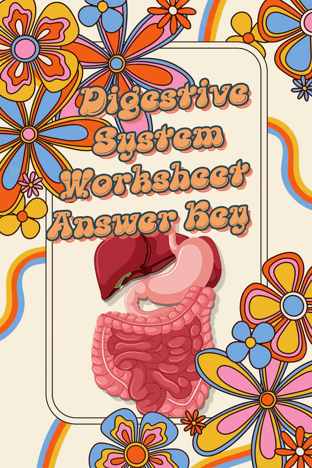 12 Images of Digestive System Worksheet Answer Key