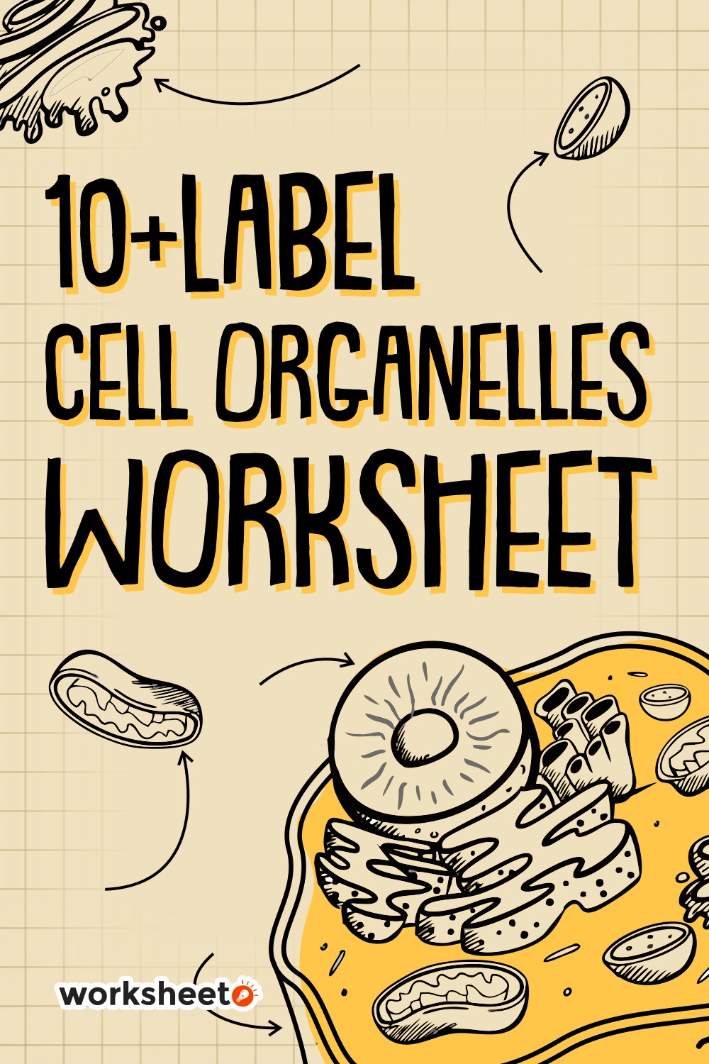 Label Cell Organelles Worksheet