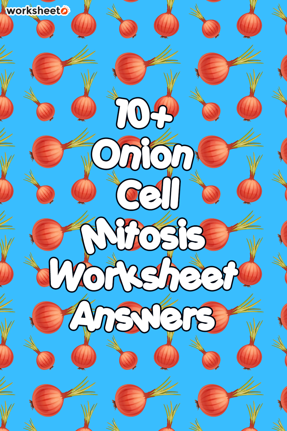 Onion Cell Mitosis Worksheet Answers