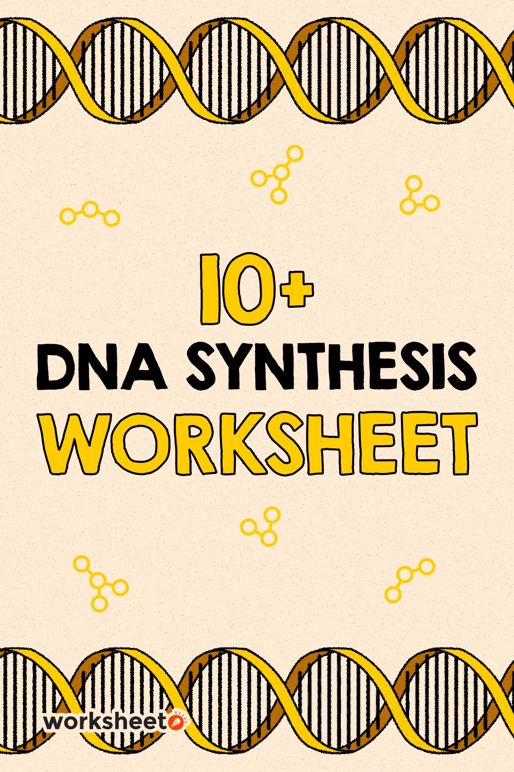 DNA Synthesis Worksheet