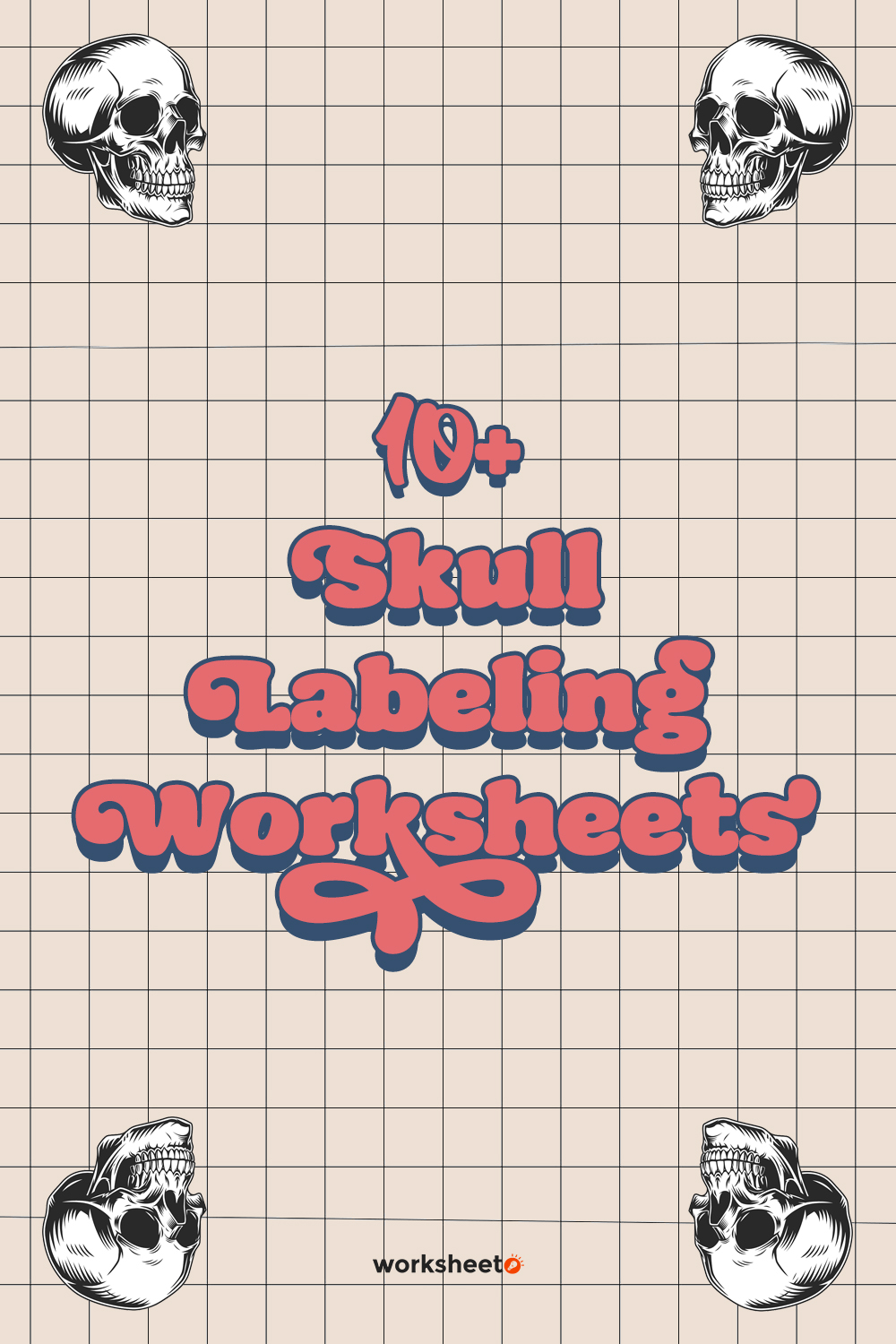 16 Images of Skull Labeling Worksheets