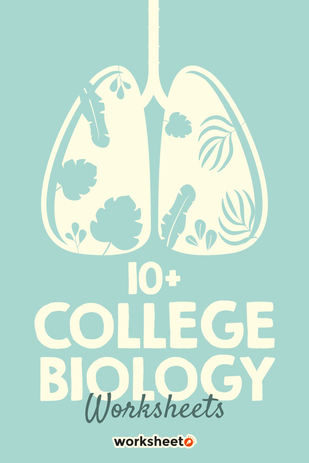 16 Images of College Biology Worksheets