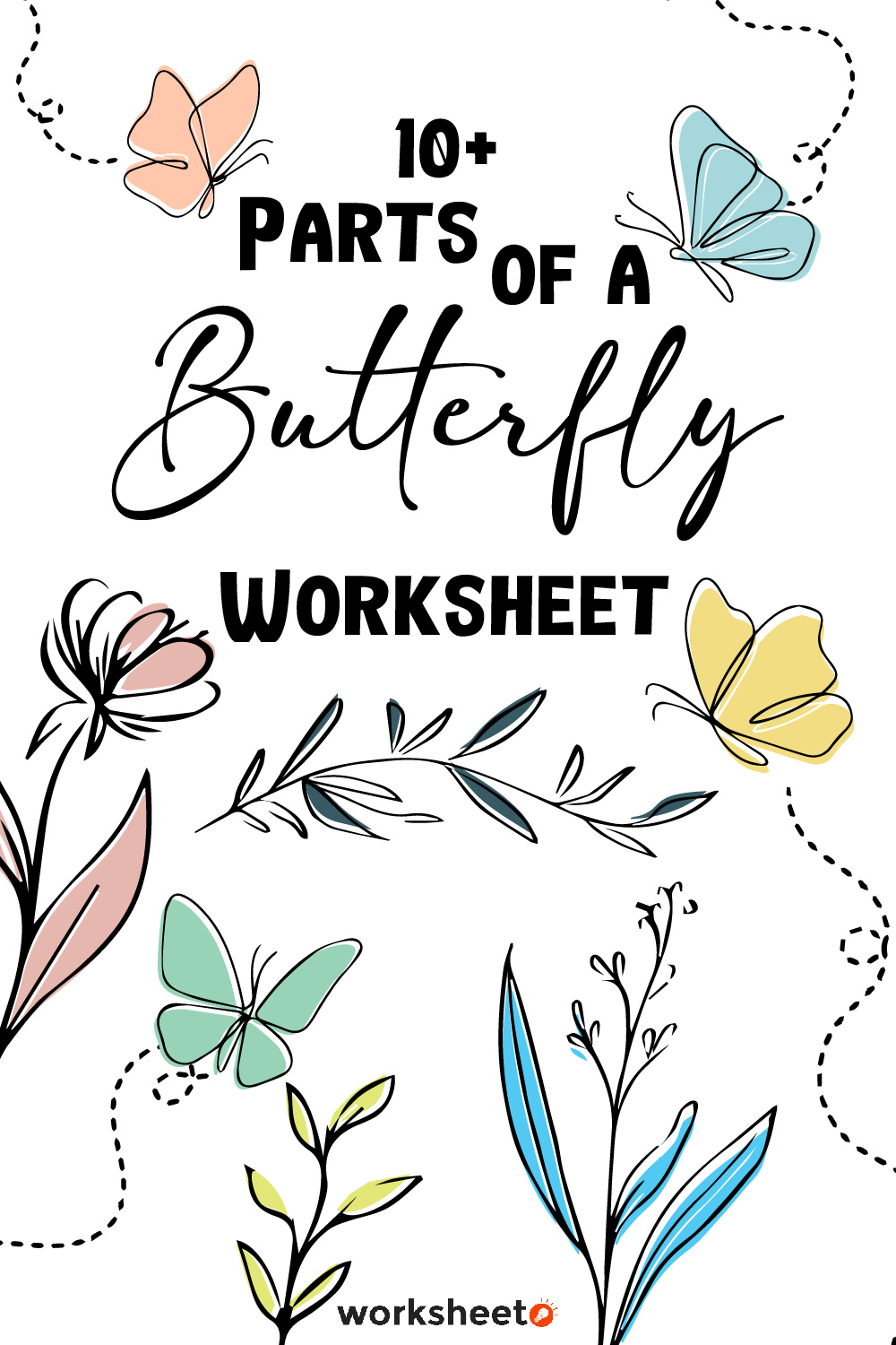 13 Images of Parts Of A Butterfly Worksheet
