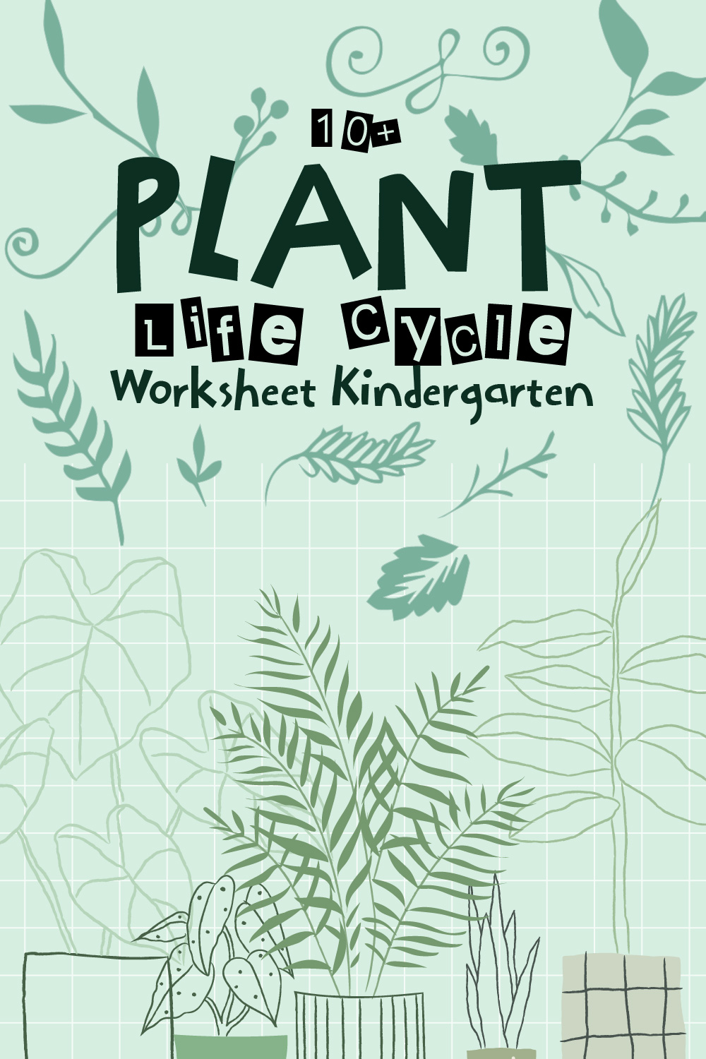 14 Images of Plant Life Cycle Worksheet Kindergarten