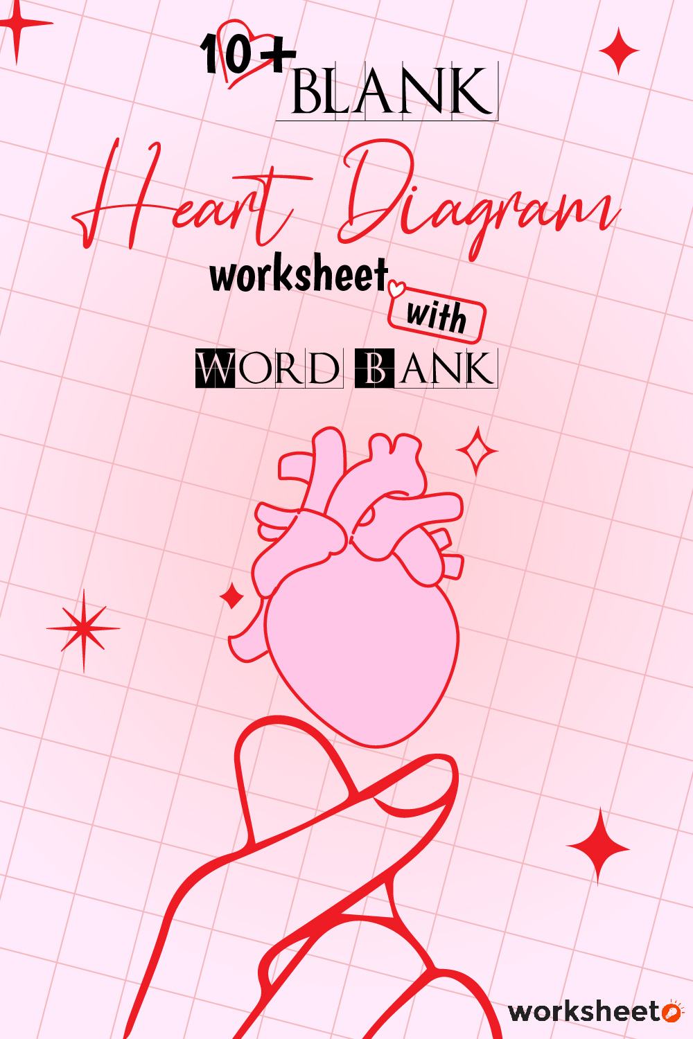 Blank Heart Diagram Worksheet with Word Bank