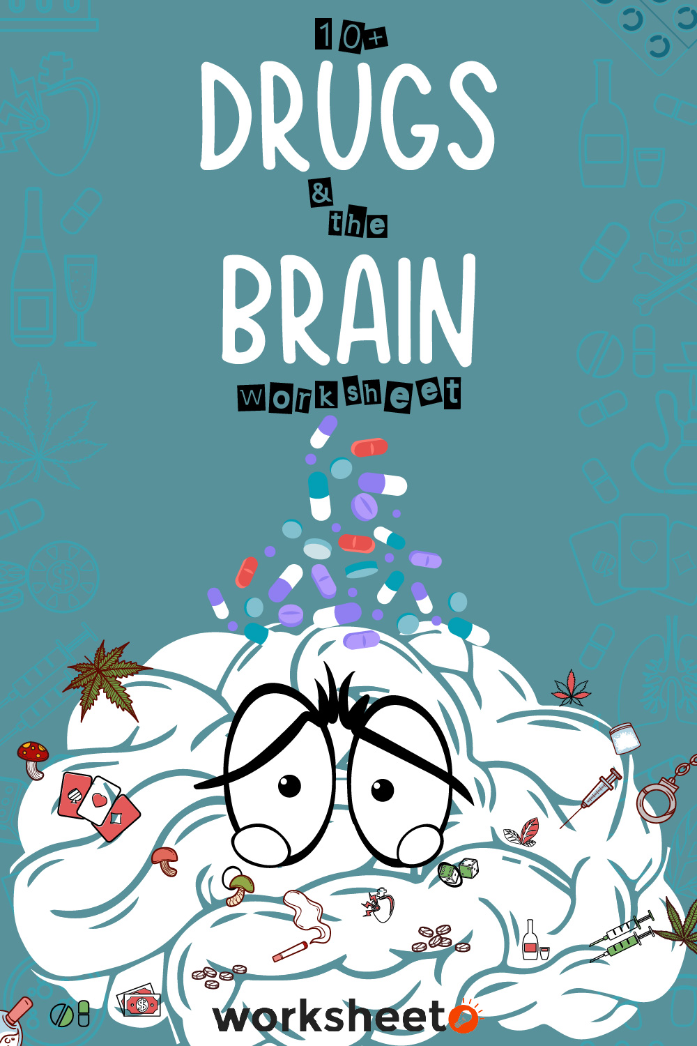 Drugs and the Brain Worksheet