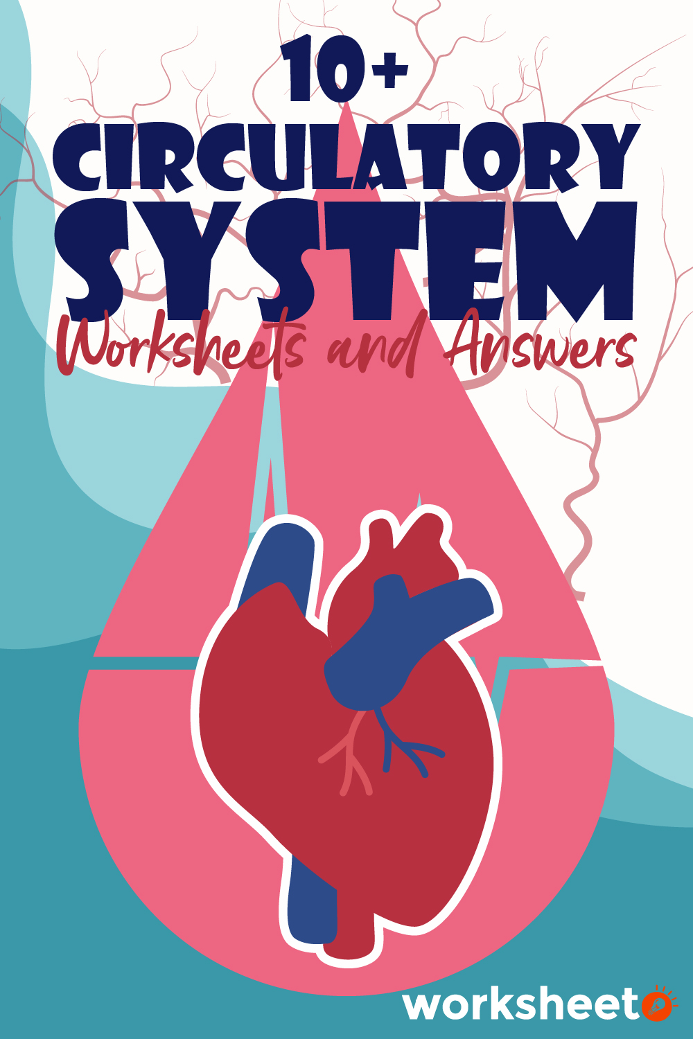 18 Images of Circulatory System Worksheets And Answers