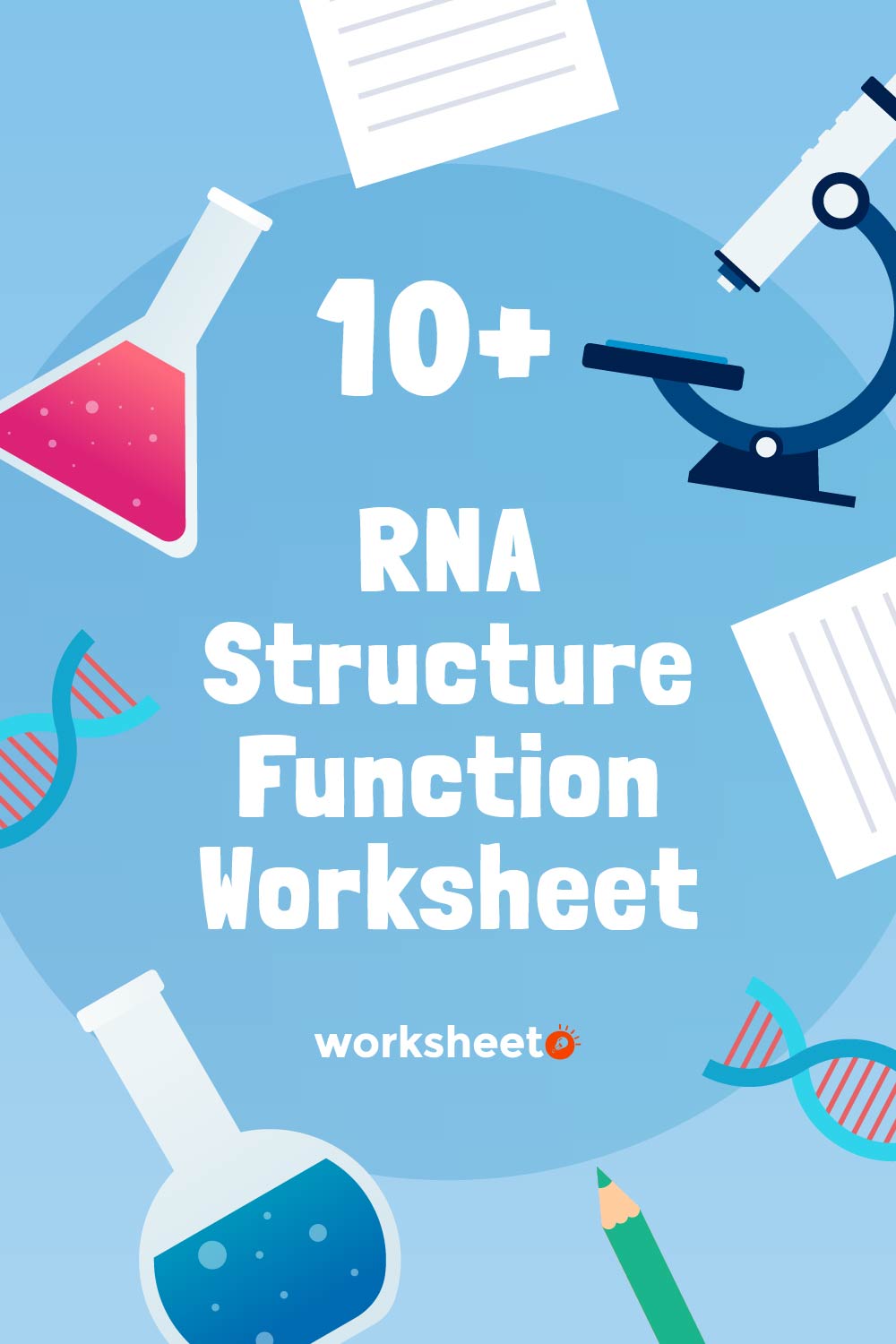 RNA Structure Function Worksheet